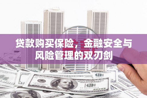公安贷款购买保险，金融安全与风险管理的双刃剑