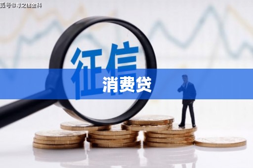 公安消费贷