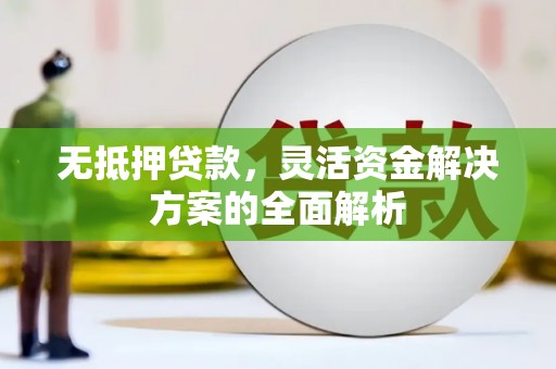 公安无抵押贷款，灵活资金解决方案的全面解析