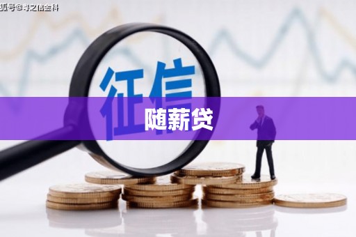 公安随薪贷