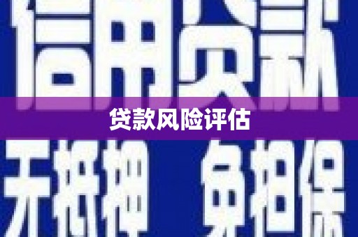 公安贷款风险评估