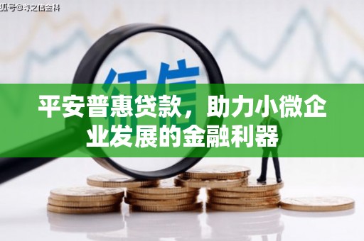 公安平安普惠贷款，助力小微企业发展的金融利器