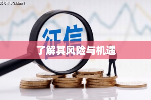 公安了解其风险与机遇