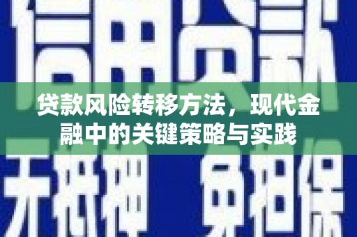 公安贷款风险转移方法，现代金融中的关键策略与实践