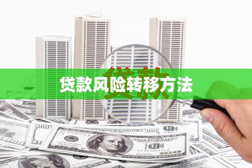公安贷款风险转移方法 公安贷款风险转移方法