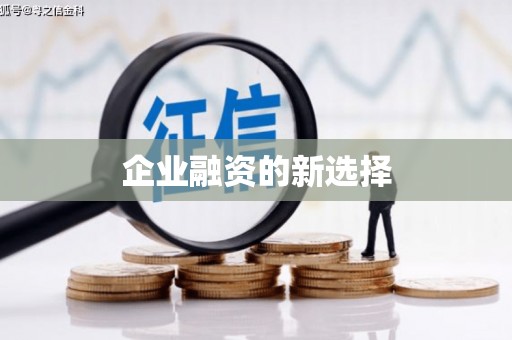 公安企业融资的新选择