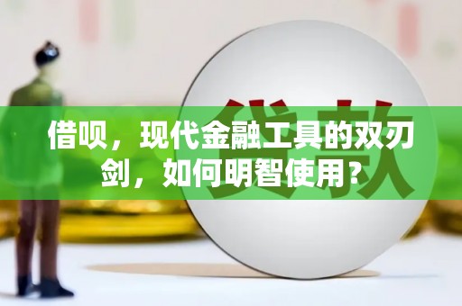 公安借呗，现代金融工具的双刃剑，如何明智使用？