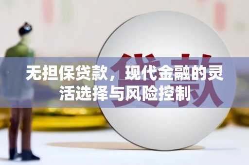 公安无担保贷款，现代金融的灵活选择与风险控制
