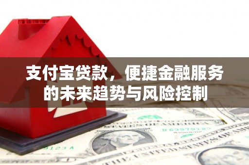 公安支付宝贷款，便捷金融服务的未来趋势与风险控制