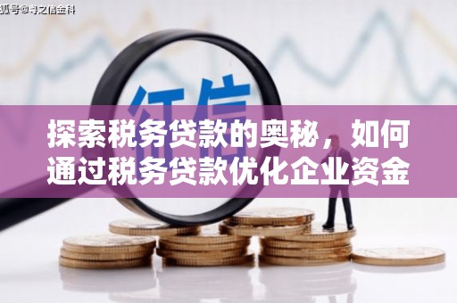 公安探索税务贷款的奥秘，如何通过税务贷款优化企业资金流