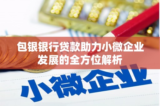 公安包银银行贷款助力小微企业发展的全方位解析 公安包银银行贷款助力小微企业发展的全方位解析