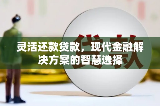 公安灵活还款贷款，现代金融解决方案的智慧选择