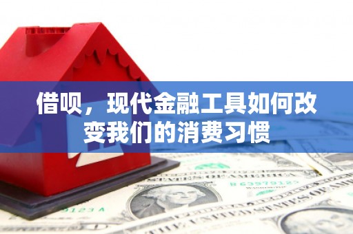 公安借呗，现代金融工具如何改变我们的消费习惯