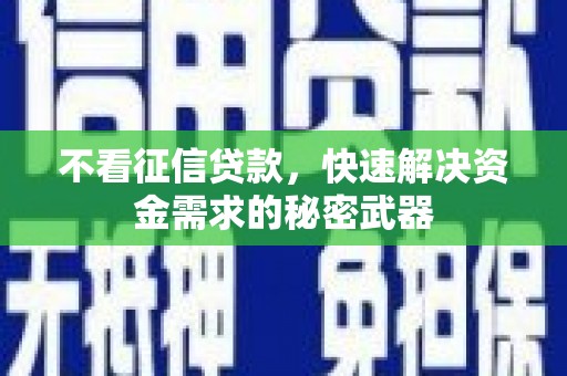 公安不看征信贷款，快速解决资金需求的秘密武器