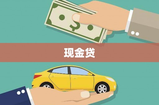 公安现金贷