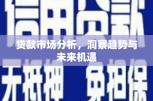 公安贷款市场分析，洞察趋势与未来机遇