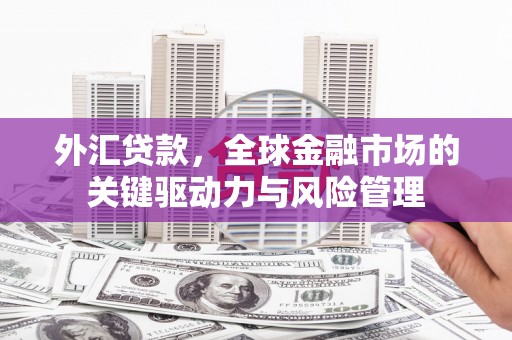 公安外汇贷款，全球金融市场的关键驱动力与风险管理