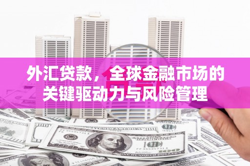 公安外汇贷款，全球金融市场的关键驱动力与风险管理