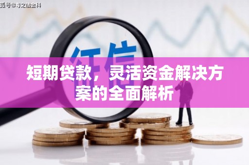 公安短期贷款，灵活资金解决方案的全面解析