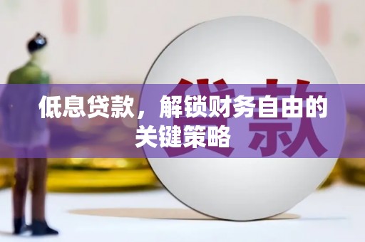 公安低息贷款，解锁财务自由的关键策略