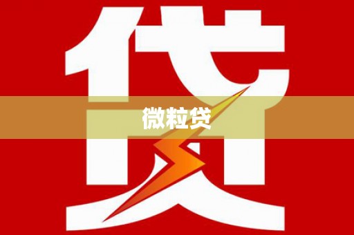 公安微粒贷