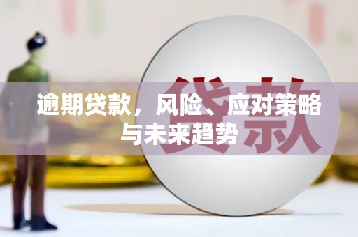 公安逾期贷款，风险、应对策略与未来趋势