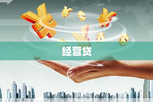 公安经营贷
