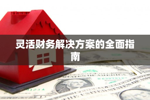 公安灵活财务解决方案的全面指南