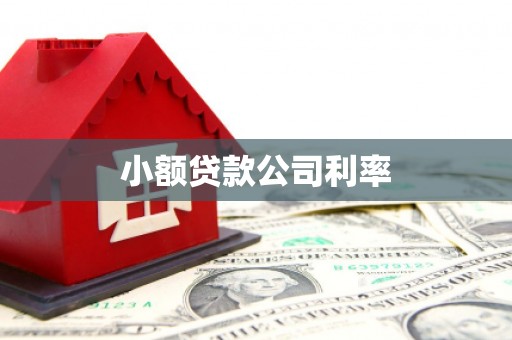 公安小额贷款公司利率