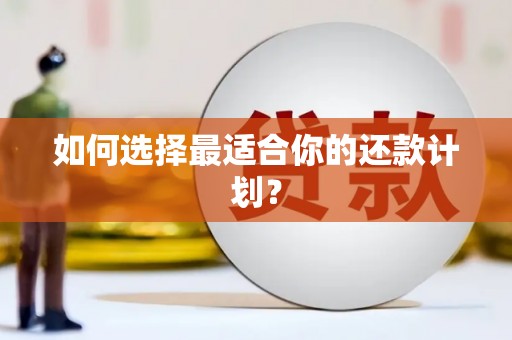 公安如何选择最适合你的还款计划？