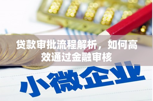 公安贷款审批流程解析，如何高效通过金融审核