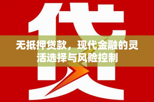 公安无抵押贷款，现代金融的灵活选择与风险控制
