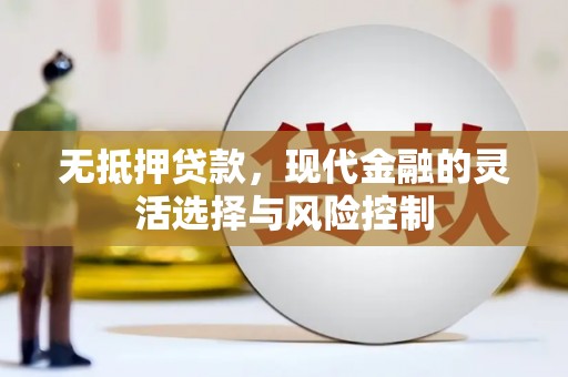 公安无抵押贷款，现代金融的灵活选择与风险控制