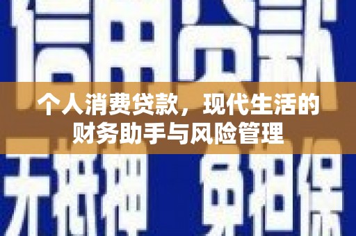 公安个人消费贷款，现代生活的财务助手与风险管理
