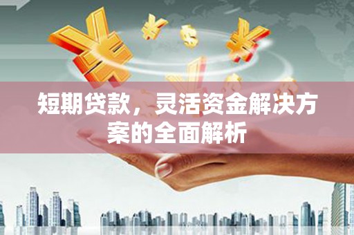 公安短期贷款，灵活资金解决方案的全面解析