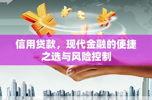 公安信用贷款，现代金融的便捷之选与风险控制