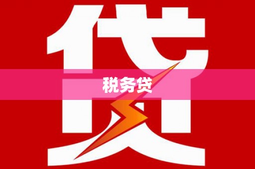 公安税务贷