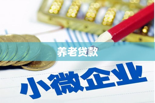 公安养老贷款