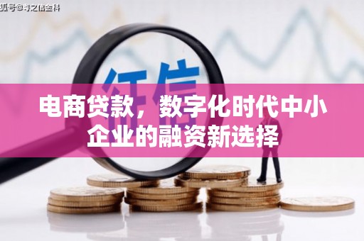 公安电商贷款，数字化时代中小企业的融资新选择