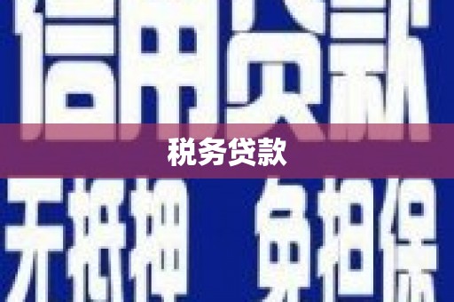 公安税务贷款