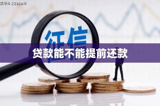 公安贷款能不能提前还款