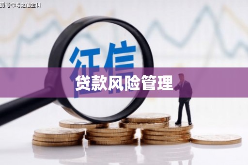 公安贷款风险管理