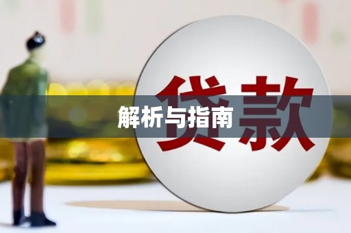 公安解析与指南