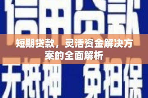 公安短期贷款，灵活资金解决方案的全面解析