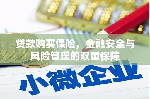 公安贷款购买保险，金融安全与风险管理的双重保障