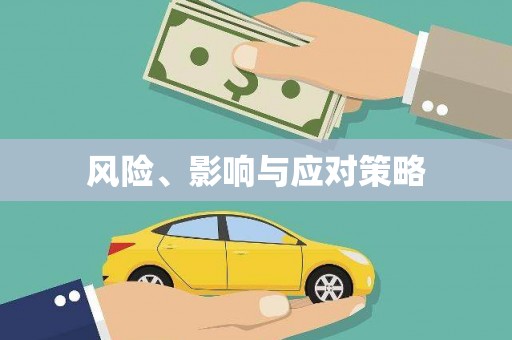 公安风险、影响与应对策略