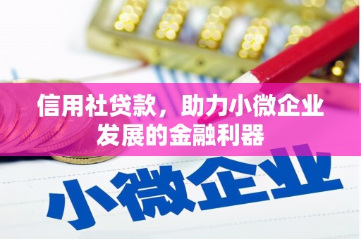 公安信用社贷款，助力小微企业发展的金融利器
