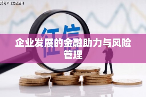 公安企业发展的金融助力与风险管理