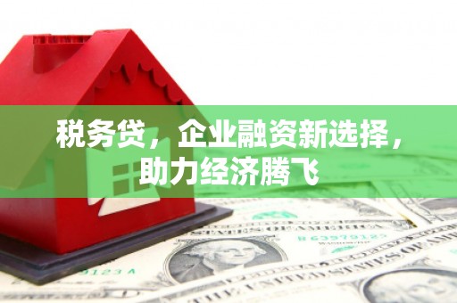 公安税务贷，企业融资新选择，助力经济腾飞