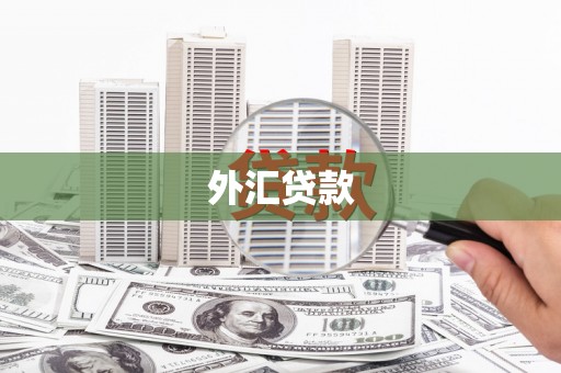 公安外汇贷款